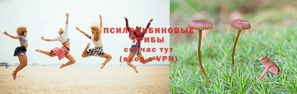 кокс Козловка