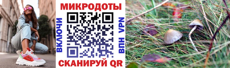наркота Азов Галлюциногенные грибы мухоморы