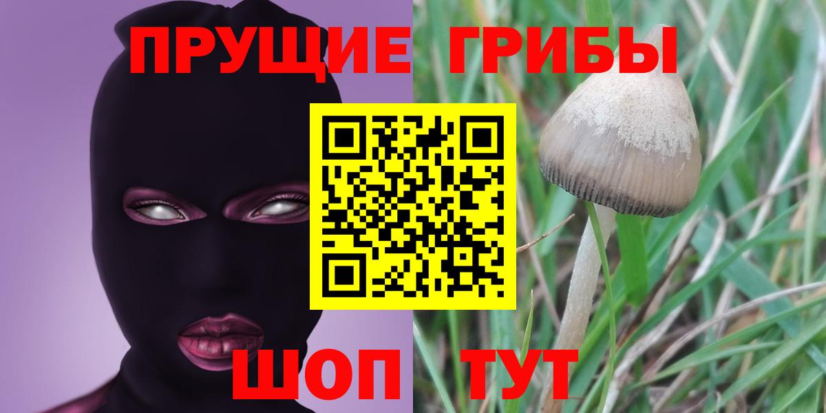 Галлюциногенные грибы прущие грибы  Вход с VPN  Азов 